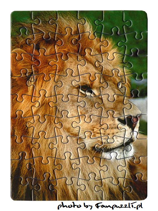 Obrazek puzzli