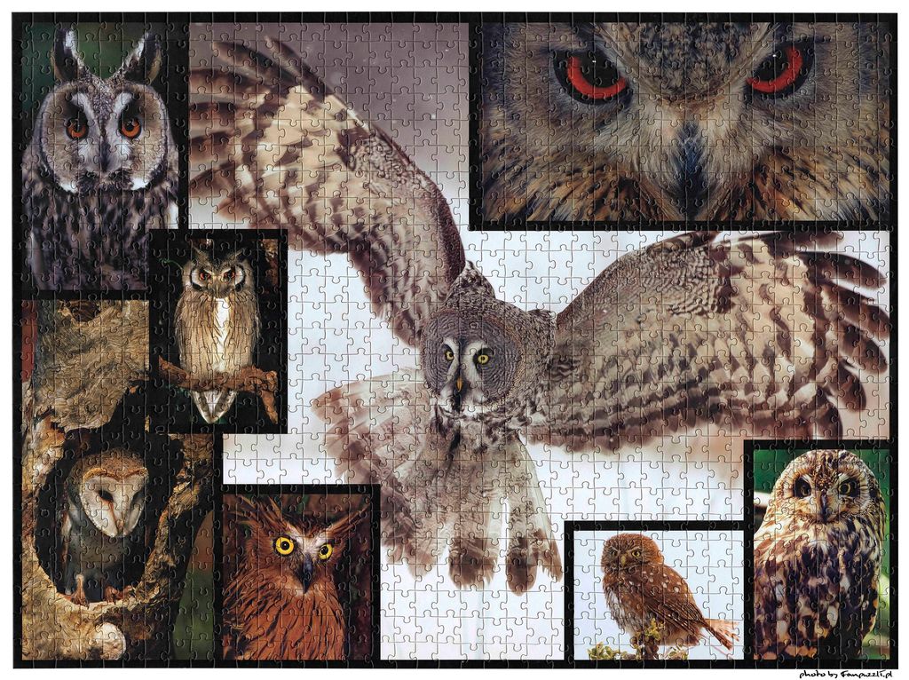 Obrazek puzzli