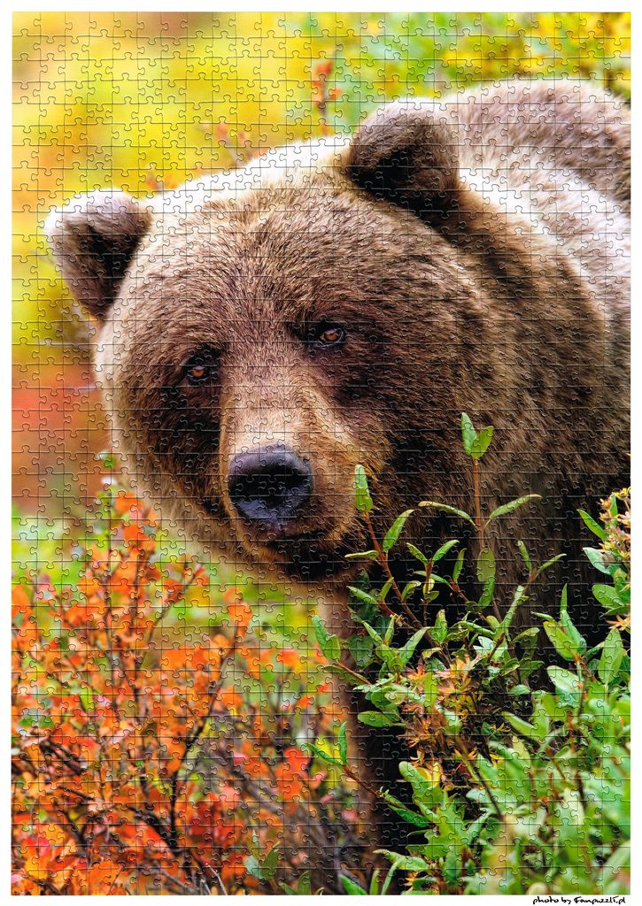 Obrazek puzzli