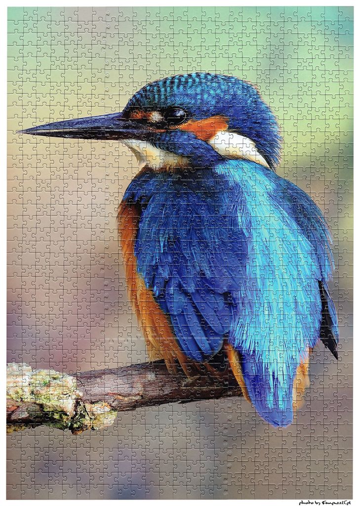 Obrazek puzzli
