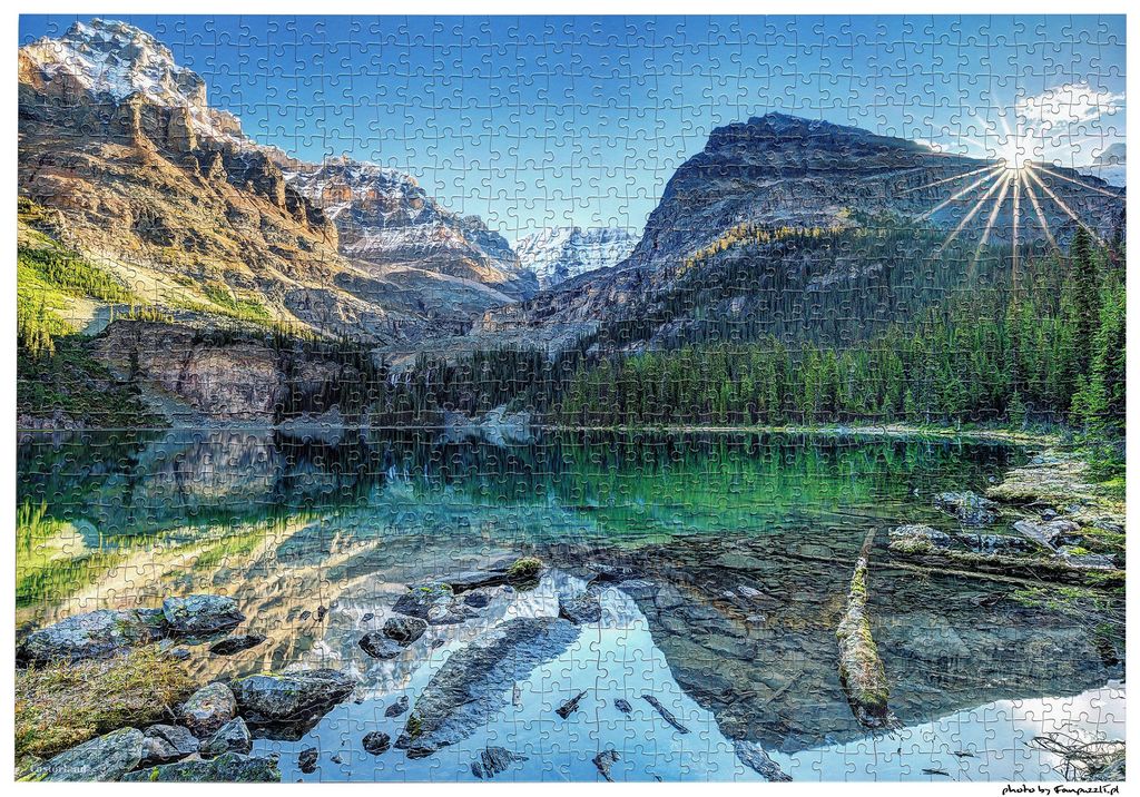 Obrazek puzzli