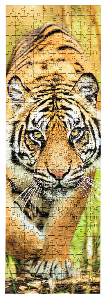 Obrazek puzzli