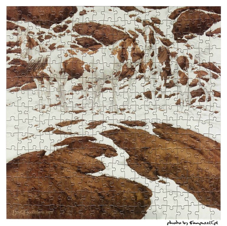 Obrazek puzzli