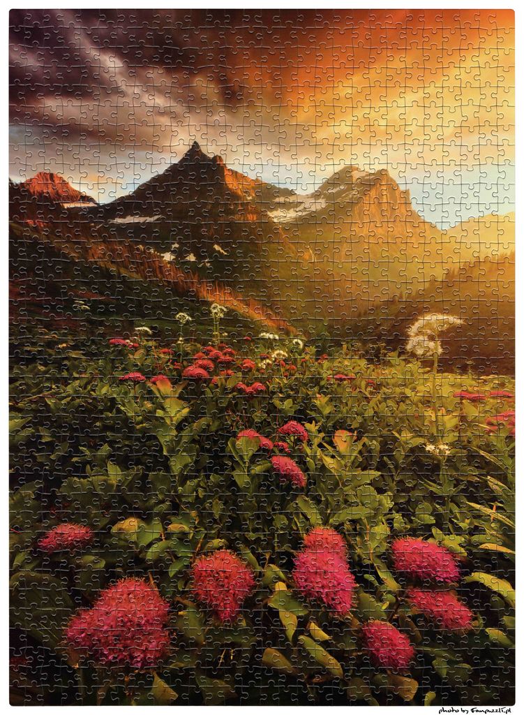 Obrazek puzzli