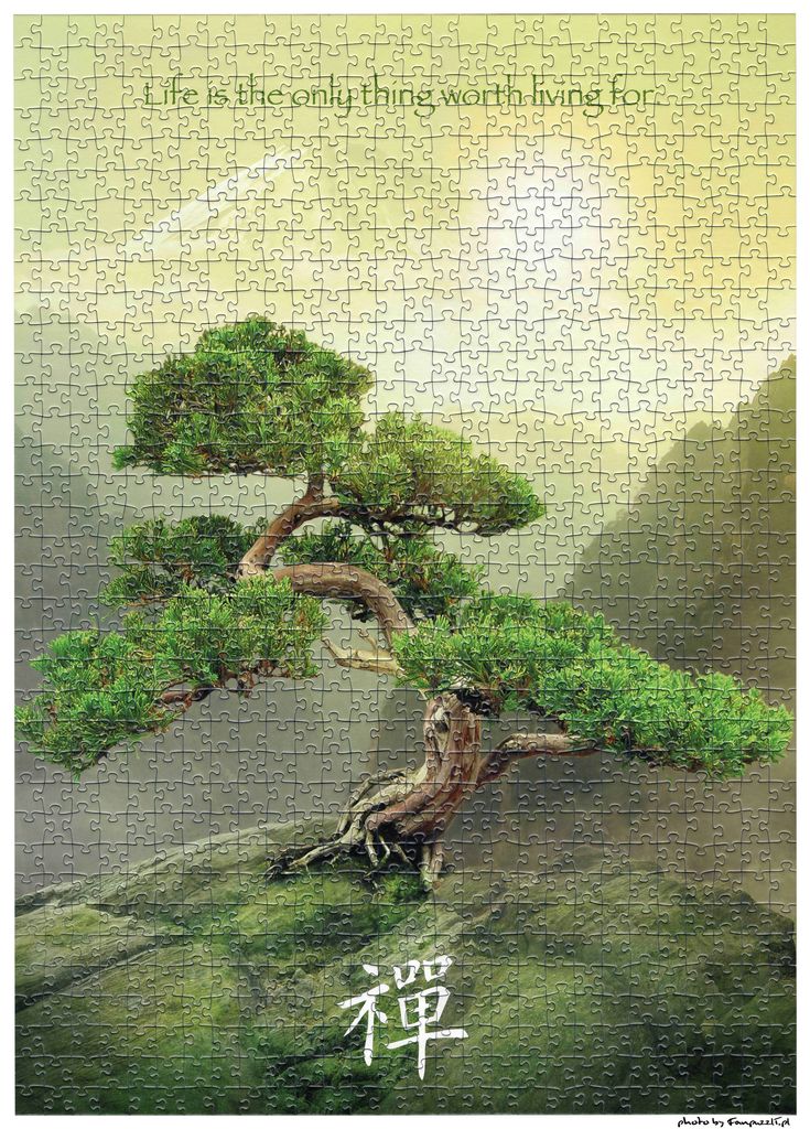 Obrazek puzzli