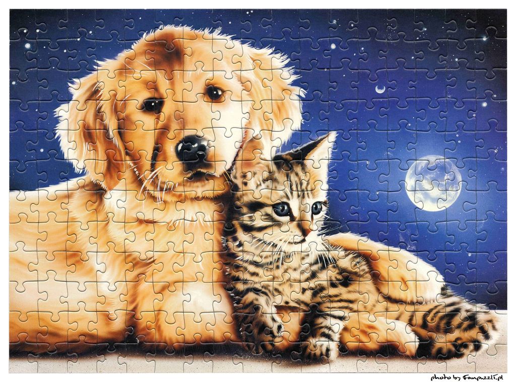 Obrazek puzzli