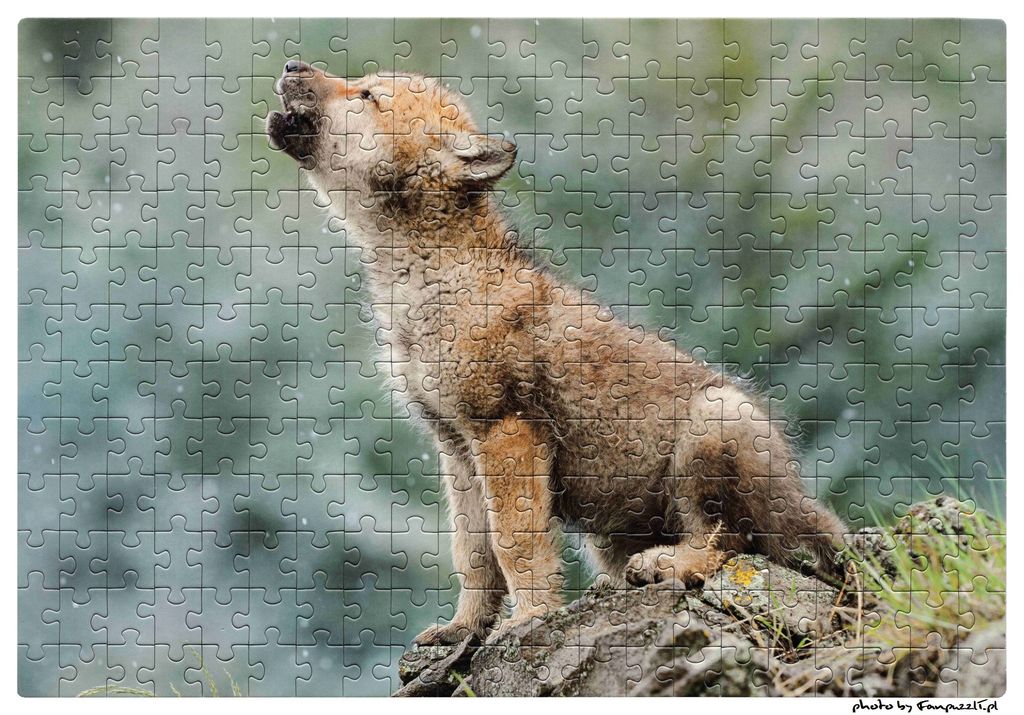 Obrazek puzzli