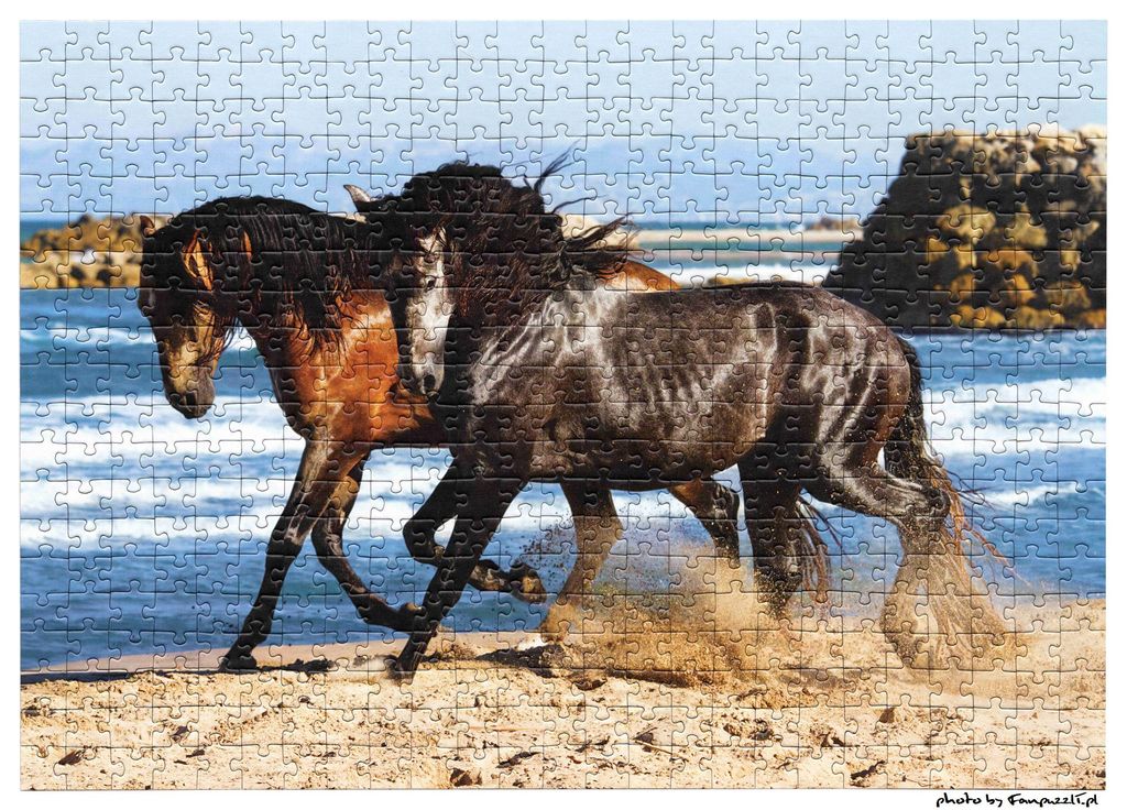 Obrazek puzzli