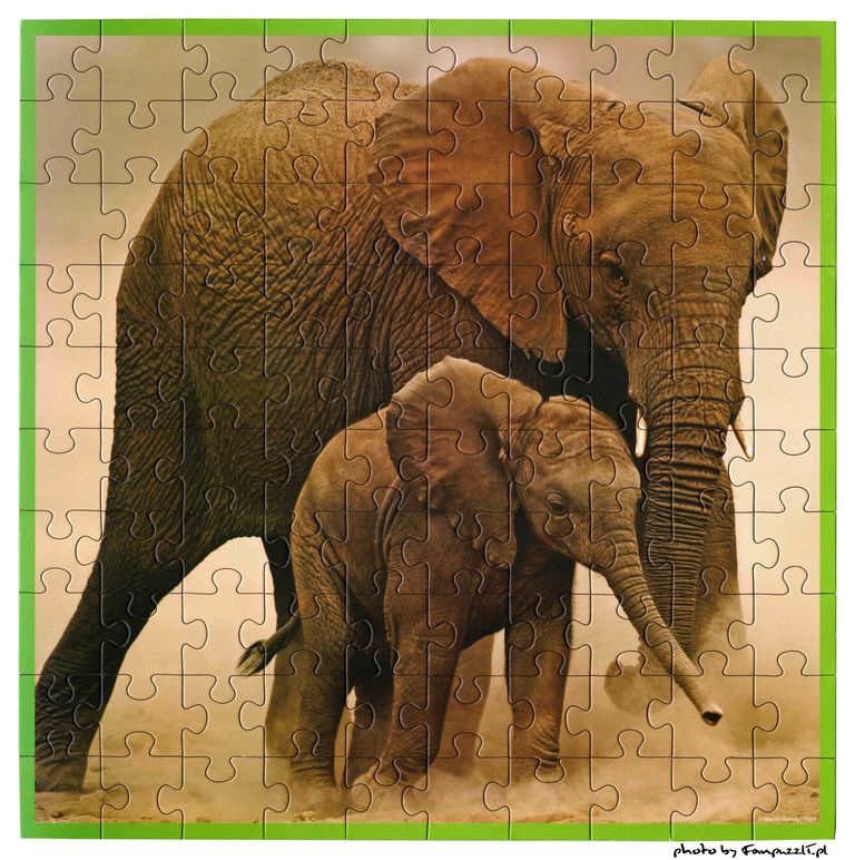 Obrazek puzzli