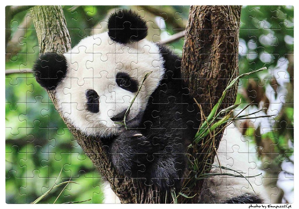 Obrazek puzzli