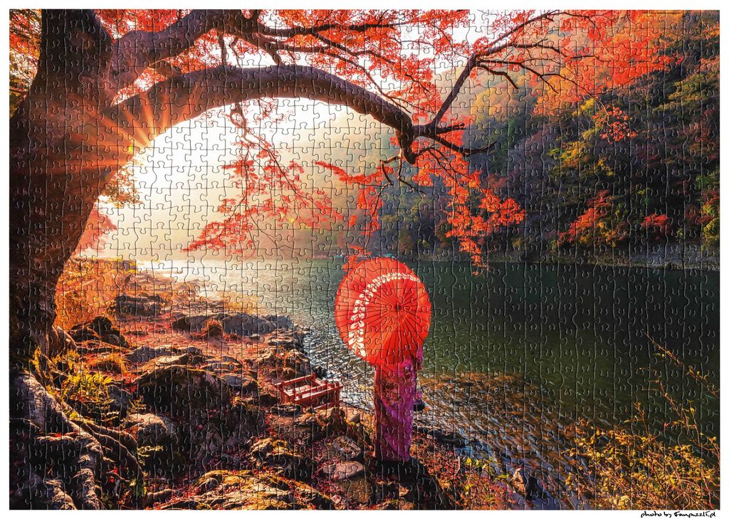 Obrazek puzzli