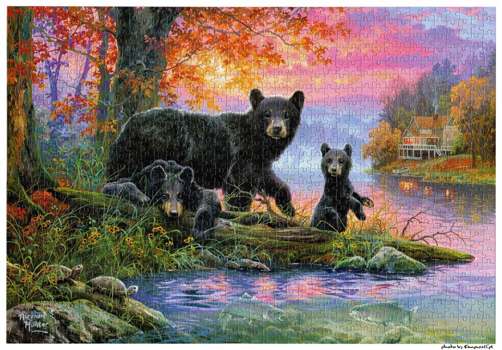 Obrazek puzzli