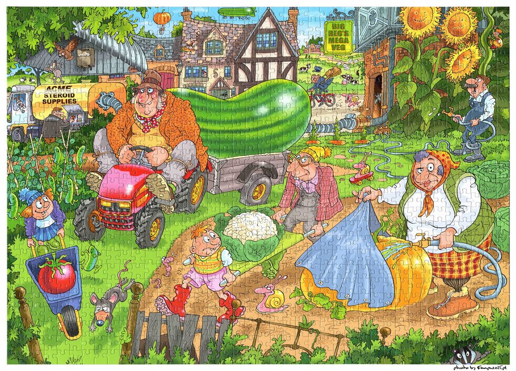 Powiększony obrazek puzzli
