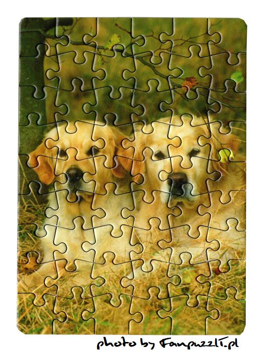 Obrazek puzzli