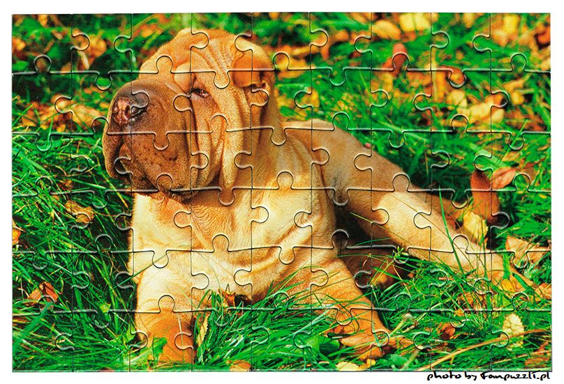 Obrazek puzzli