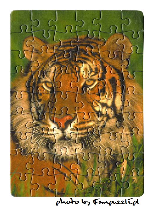 Obrazek puzzli