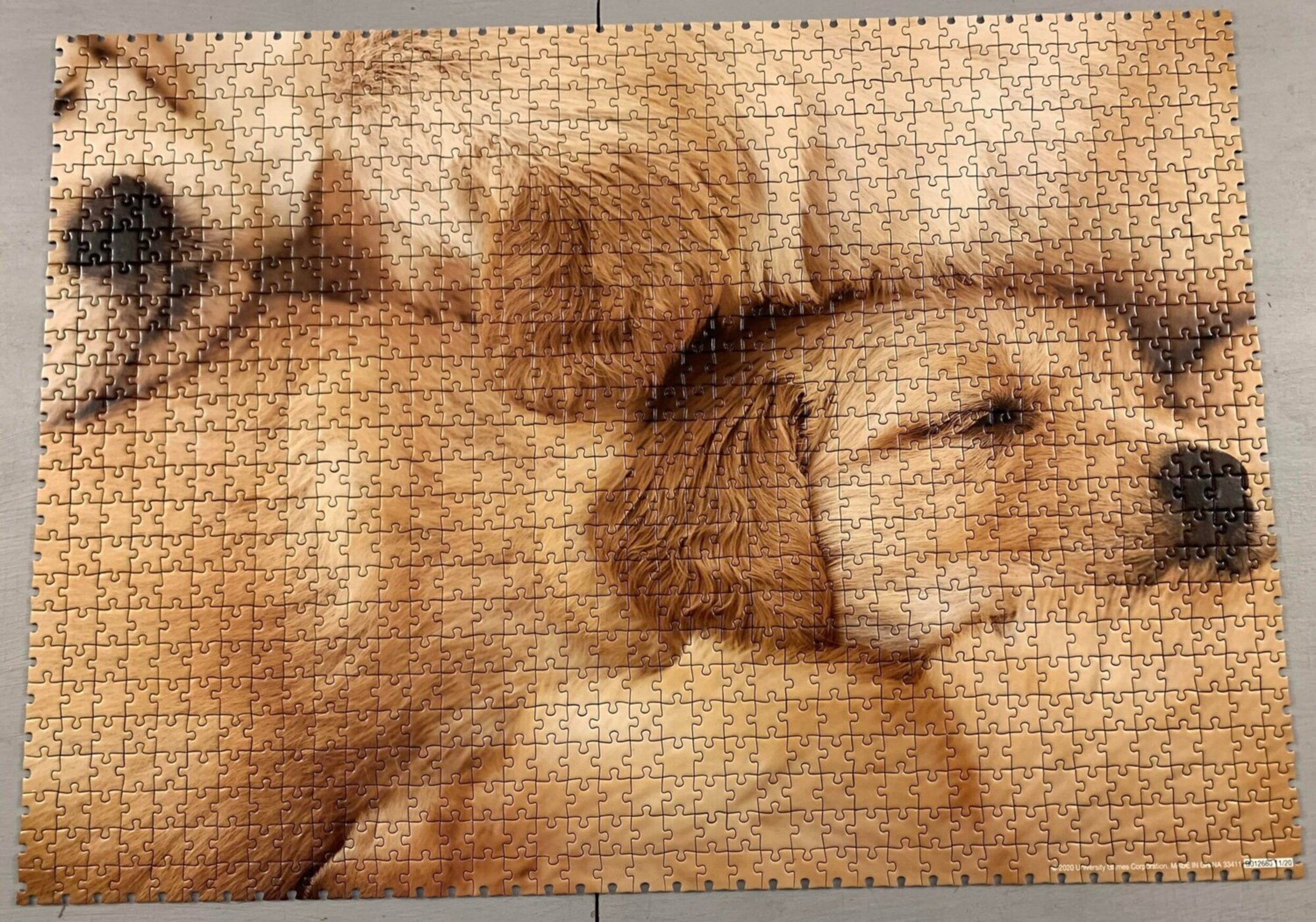 Obrazek puzzli