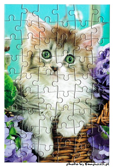 Obrazek puzzli