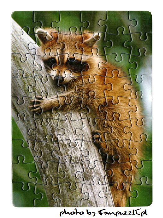Obrazek puzzli