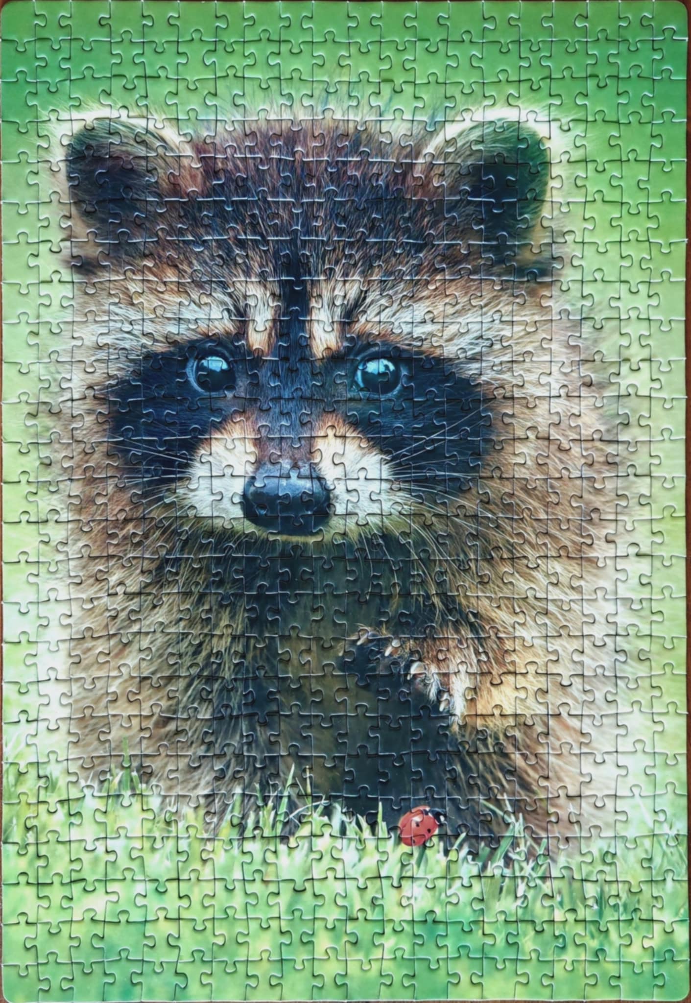 Obrazek puzzli