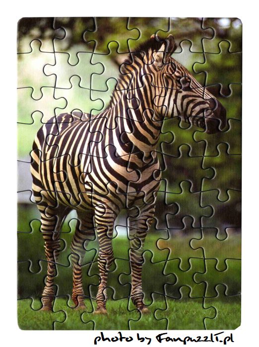 Obrazek puzzli