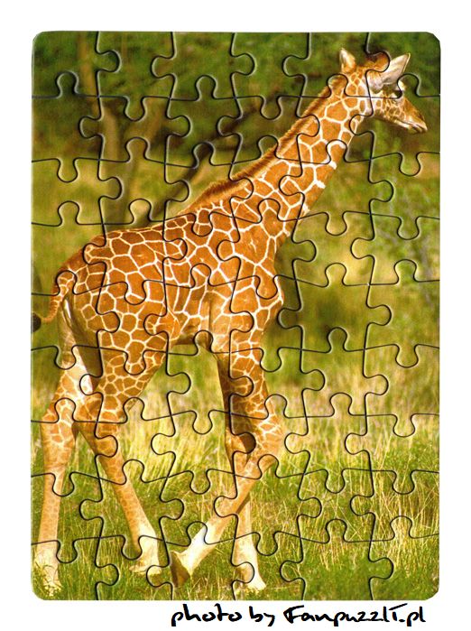 Obrazek puzzli