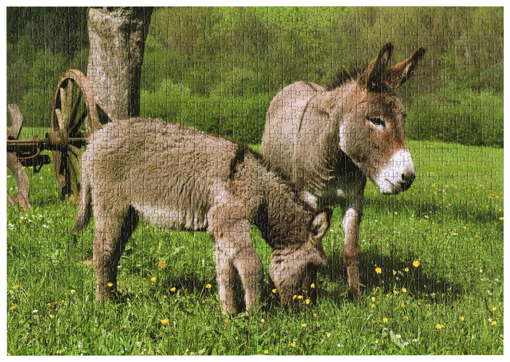 messages.assembled_part 2