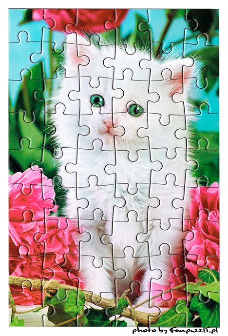 Obrazek puzzli