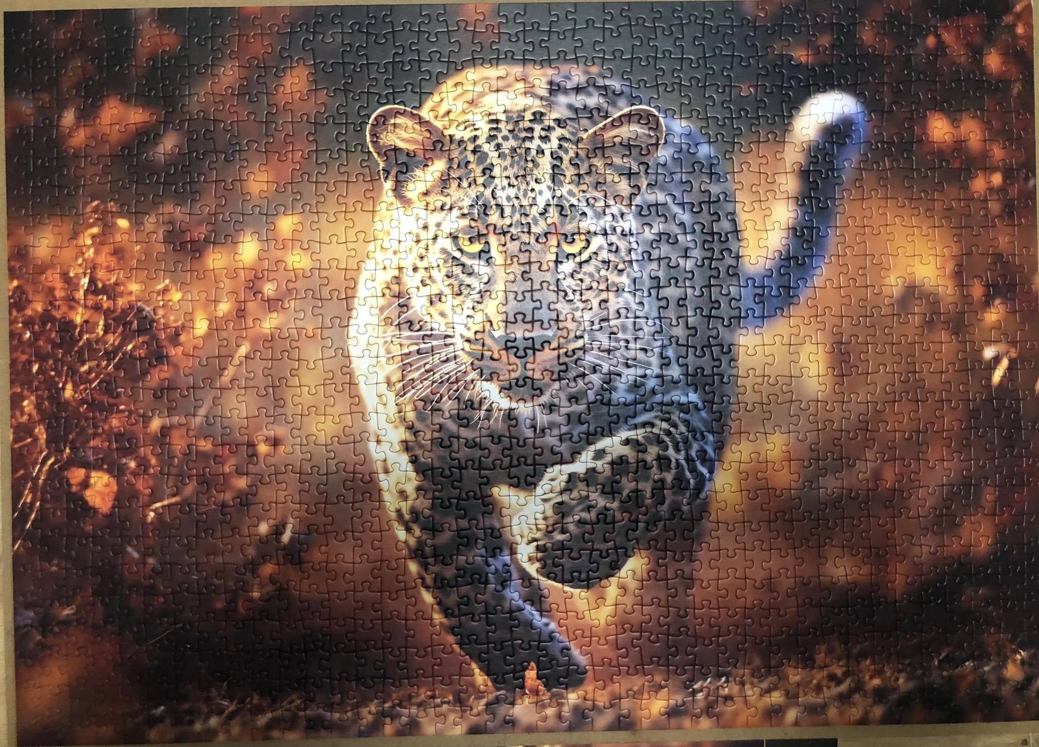 Obrazek puzzli