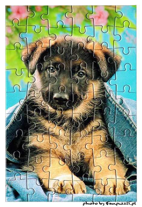 Obrazek puzzli