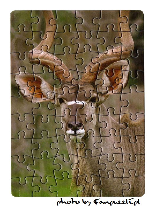 Obrazek puzzli