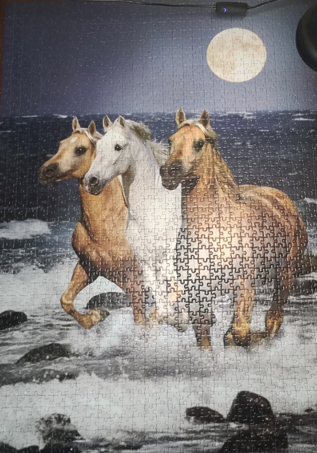 Obrazek puzzli