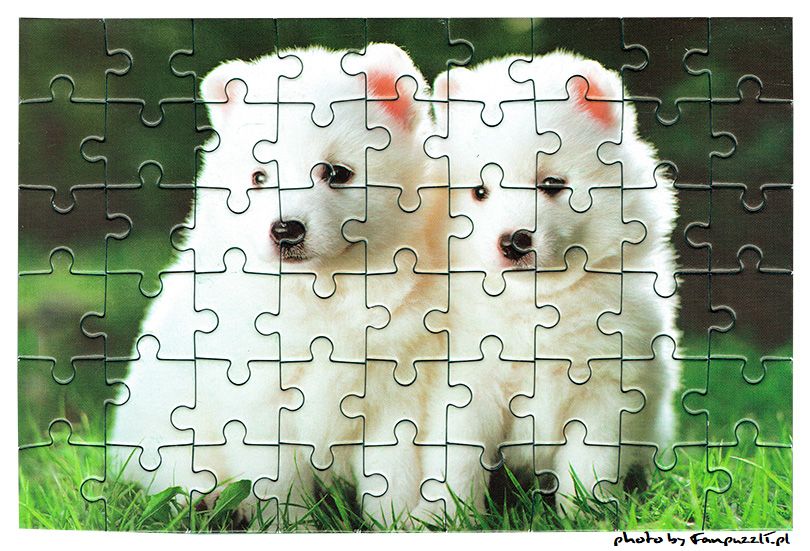 Obrazek puzzli