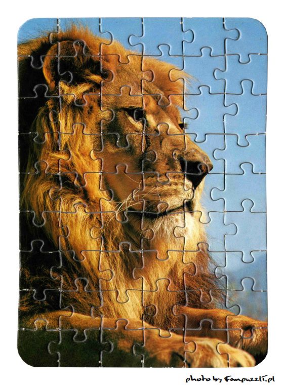 Obrazek puzzli