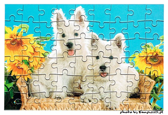 Obrazek puzzli