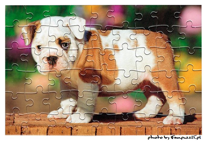 Obrazek puzzli