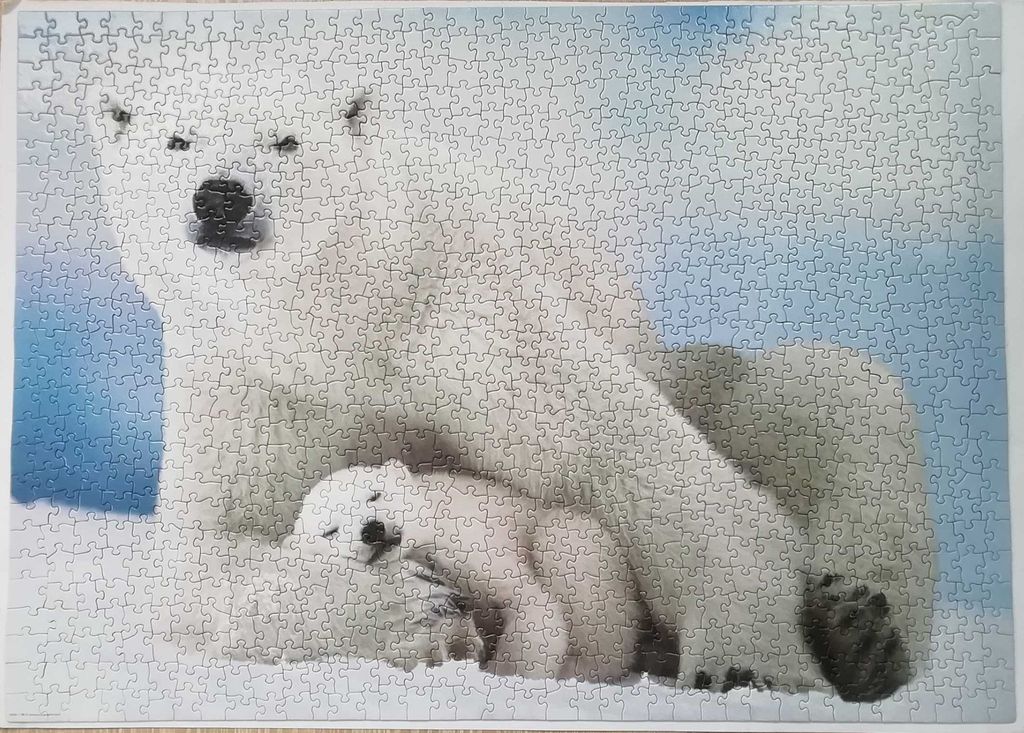 Obrazek puzzli