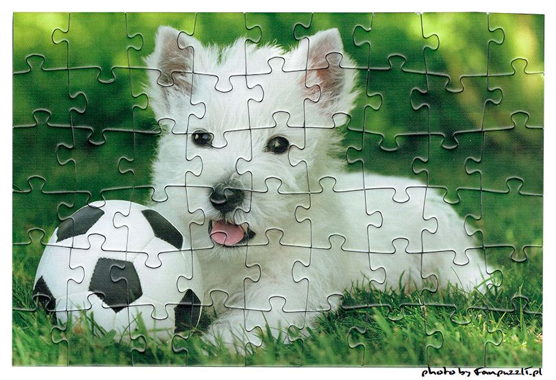 Obrazek puzzli