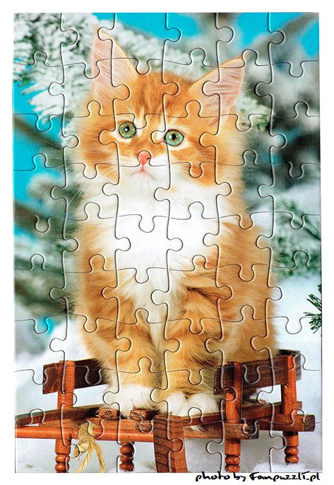 Obrazek puzzli