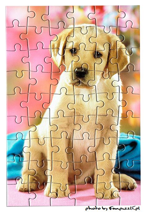 Obrazek puzzli