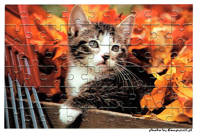Obrazek puzzli
