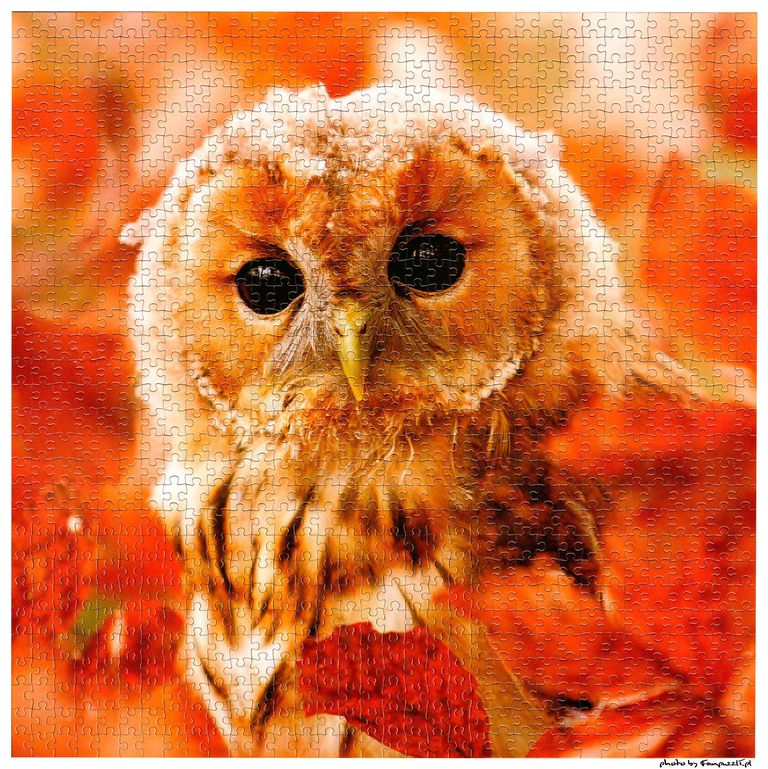 Obrazek puzzli