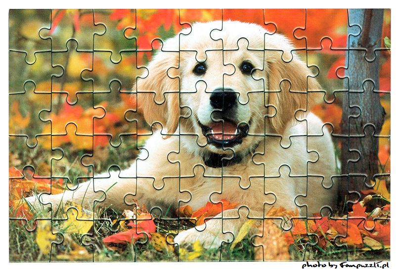 Obrazek puzzli