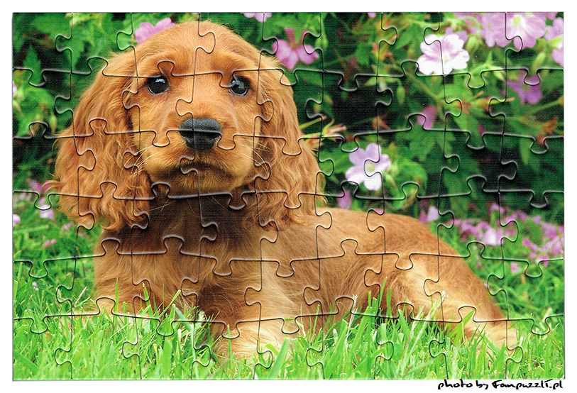 Obrazek puzzli