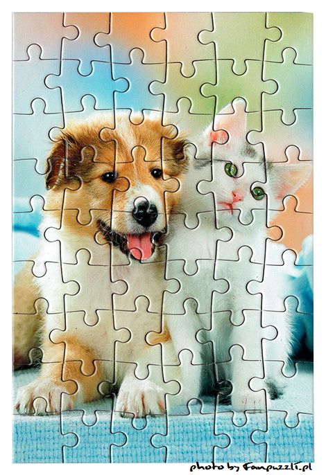Obrazek puzzli