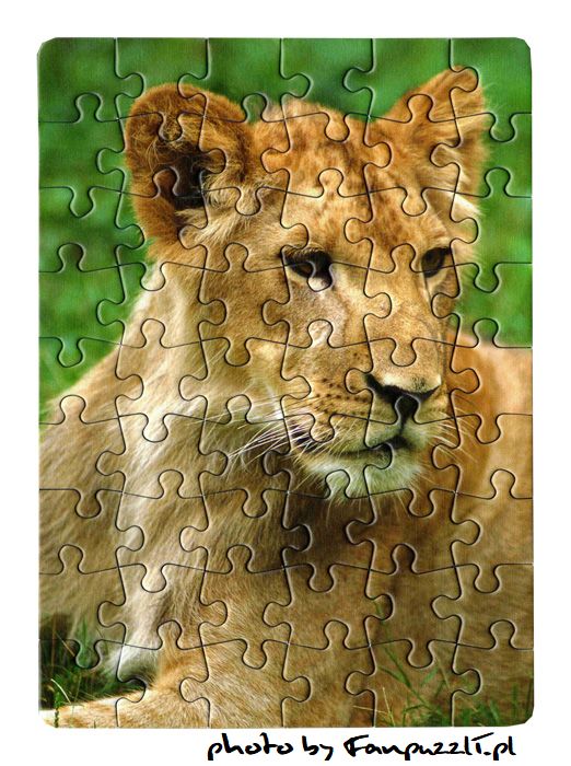 Obrazek puzzli