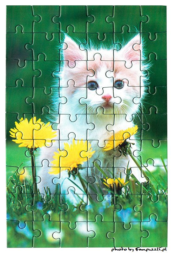 Obrazek puzzli