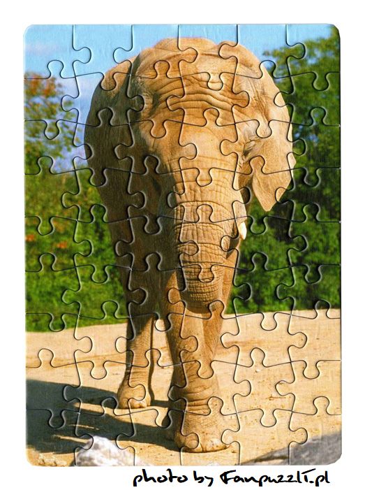 Obrazek puzzli