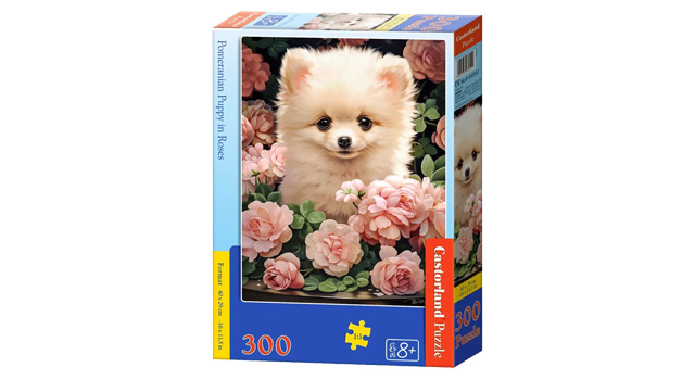 Pomeranian Puppy in Roses