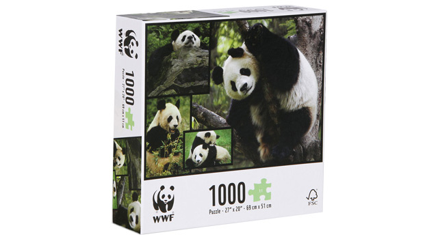 Giant Pandas